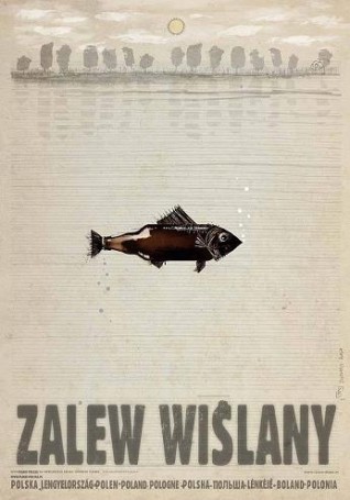Zalew Wislany, 2016