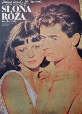 Słona róża, 1982 r., reż. Janusz Majewski