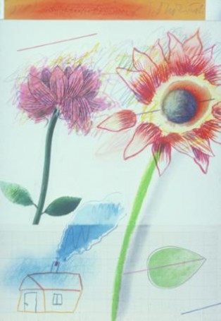 Chrysanthemums II