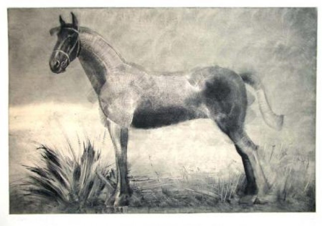 Horse from Casa Lome