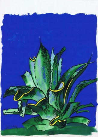 Kaktus 5, 1980 r.