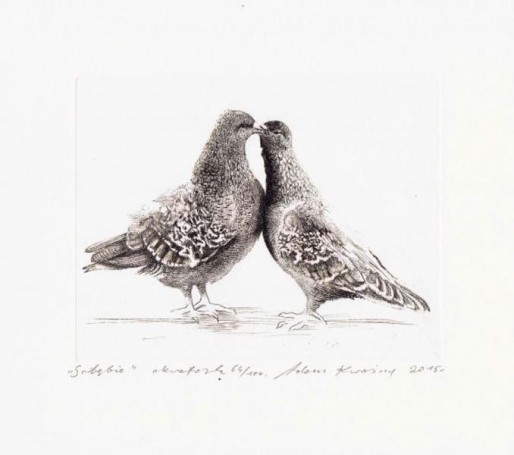 Adam Kwaśny, Pigeons, 2015