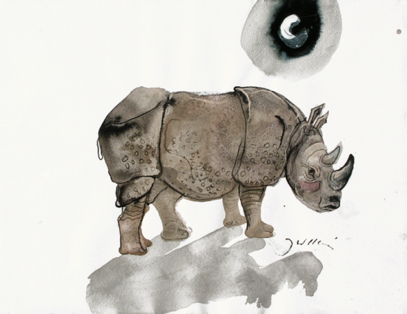 Untilted (rhino)