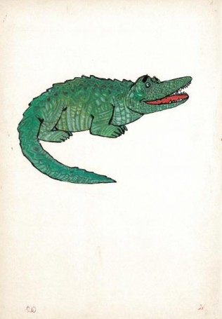 Untitled - crocodile