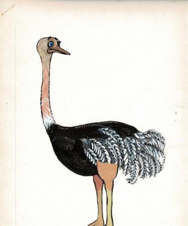Untitled - ostrich