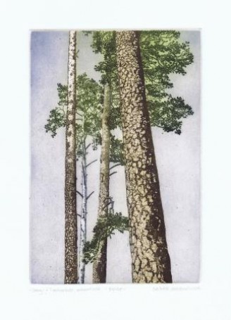 Pines, 1986