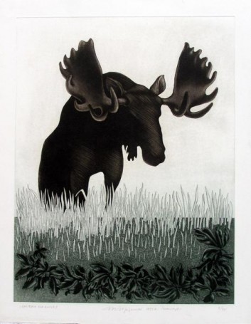 A card for a moose, 1973