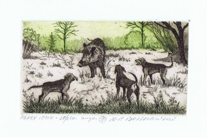 Hounds and boar