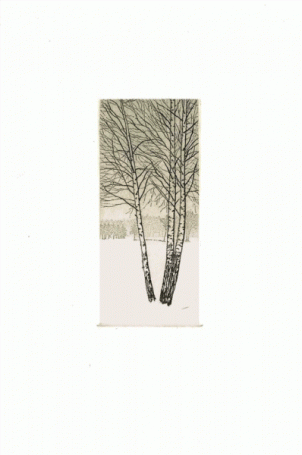 Birches, 2003