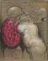 Lament nad jajem wieczności, 1707, rysunek, tektura, 87x69 cm