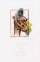 Guitarist, 2002/2007