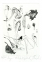 Iris - Countryside sketches, 2011