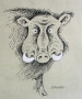 Ilustracja dzik