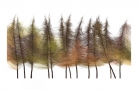 Larches