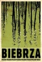 Biebrza from 