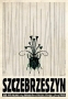 Szczebrzeszyn z cyklu 