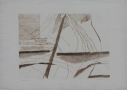 Birch