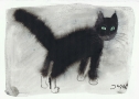 Jozef Wilkon, Cat