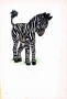 Zebra, ilustracja do książki 