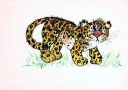 No title (Leopard)