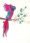 Parrot, 'Zwierzeta Pana Brzechwy', illustration for Jan Brzechwa book