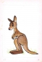 Miroslaw Pokora, Kangaroo, illustration for Jan Brzechwa book 'Zwierzeta Pana Brzechwy'