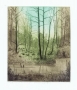 Marian Paweł Bocianowski, The little forest