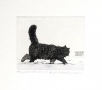 Marian Pawel Bocianowski, A CAT simply A CAT