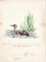 Untitled - duck and dog