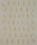 Bustrophedon D, 2024