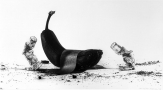 Tribute to Banana, 2025 